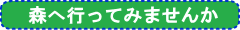 イベント案内
